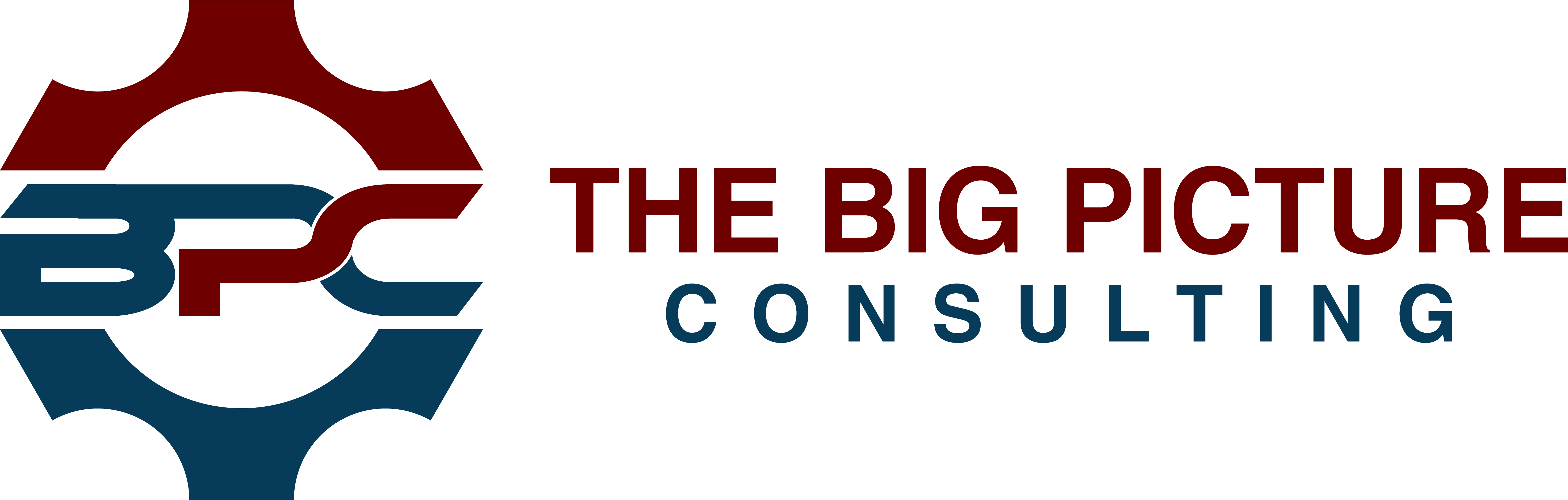 Big Picture Logo