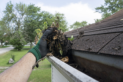 Gutter Cleaning Companies